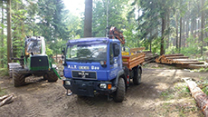 Holztransporte