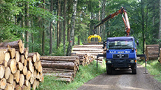 Holztransporte